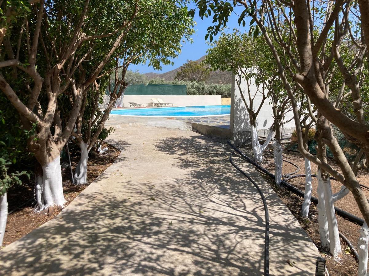 Rousolakos Pool Apartments Palekastro Bagian luar foto