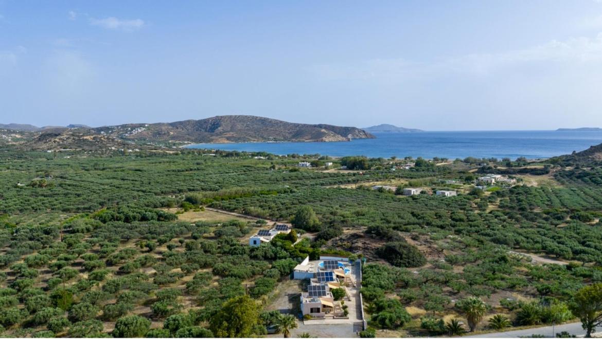 Rousolakos Pool Apartments Palekastro Bagian luar foto
