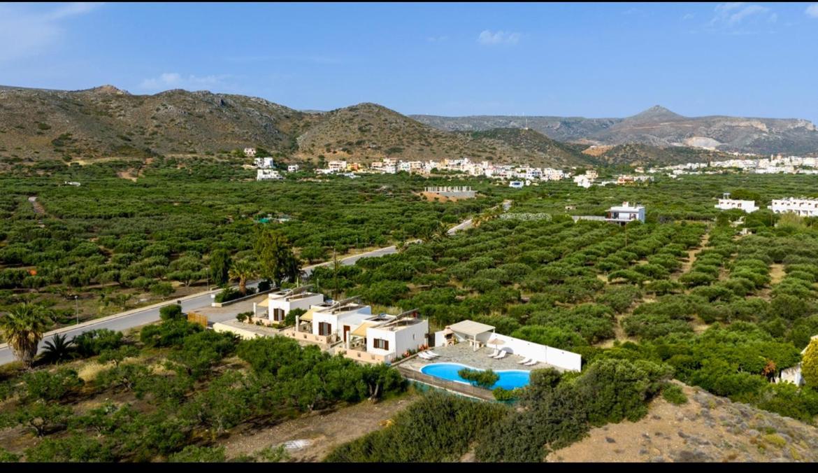 Rousolakos Pool Apartments Palekastro Bagian luar foto